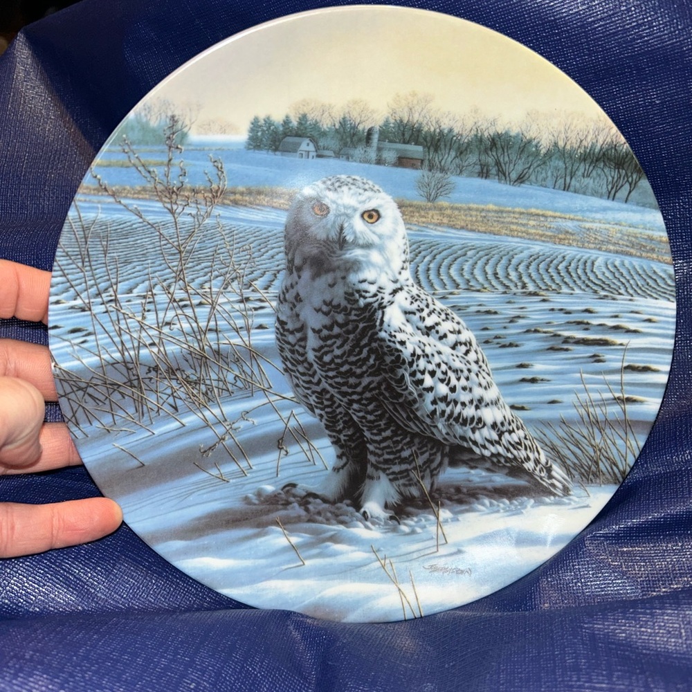 Edwin M. Knowles "The Snowy Owl" Collector Plate by Jim Beaudoin 1989